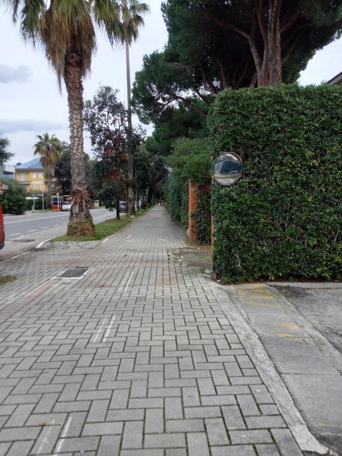Bilocale Climatizzato A 850M Dalla Spiaggia Casa Katia Marina di Massa Bagian luar foto